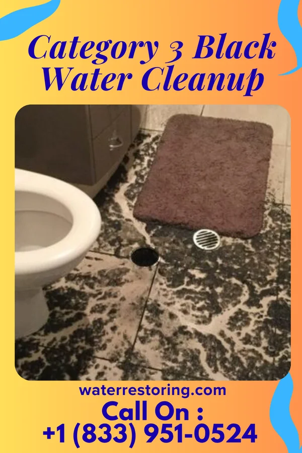 Category 3 Black Water Cleanup in Ilchester, MD