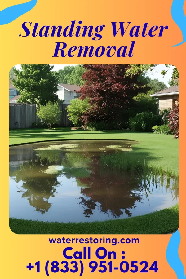 Standing Water Removal in Ilchester, MD